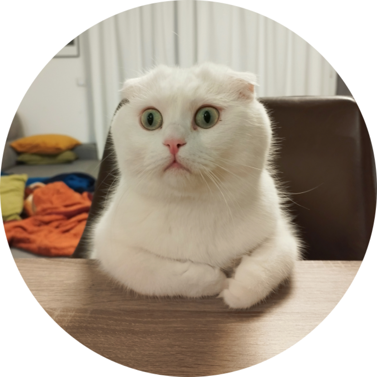 Romeo, documented without formal approval.